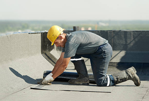 Best Eco-Friendly Insulation in Northlake, IL