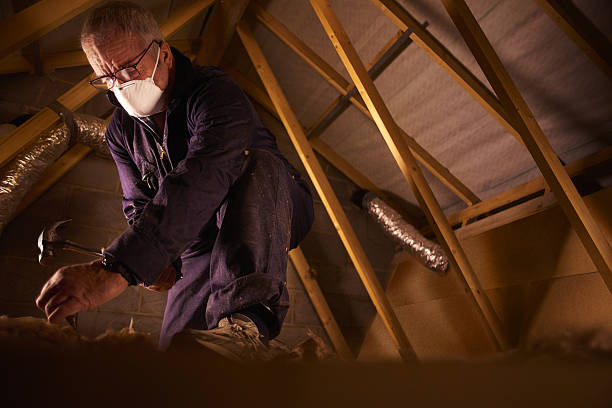Best DIY Insulation Kits and Guidance in Northlake, IL